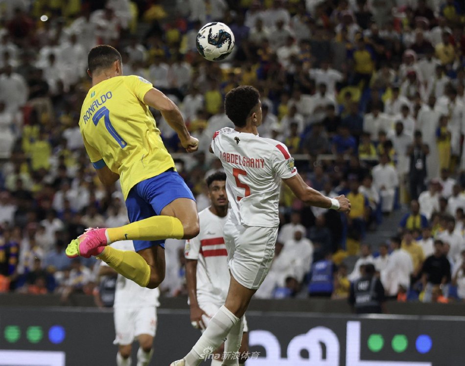 训教练团队 训教练团队